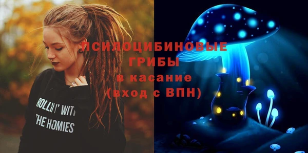 амф Арсеньев